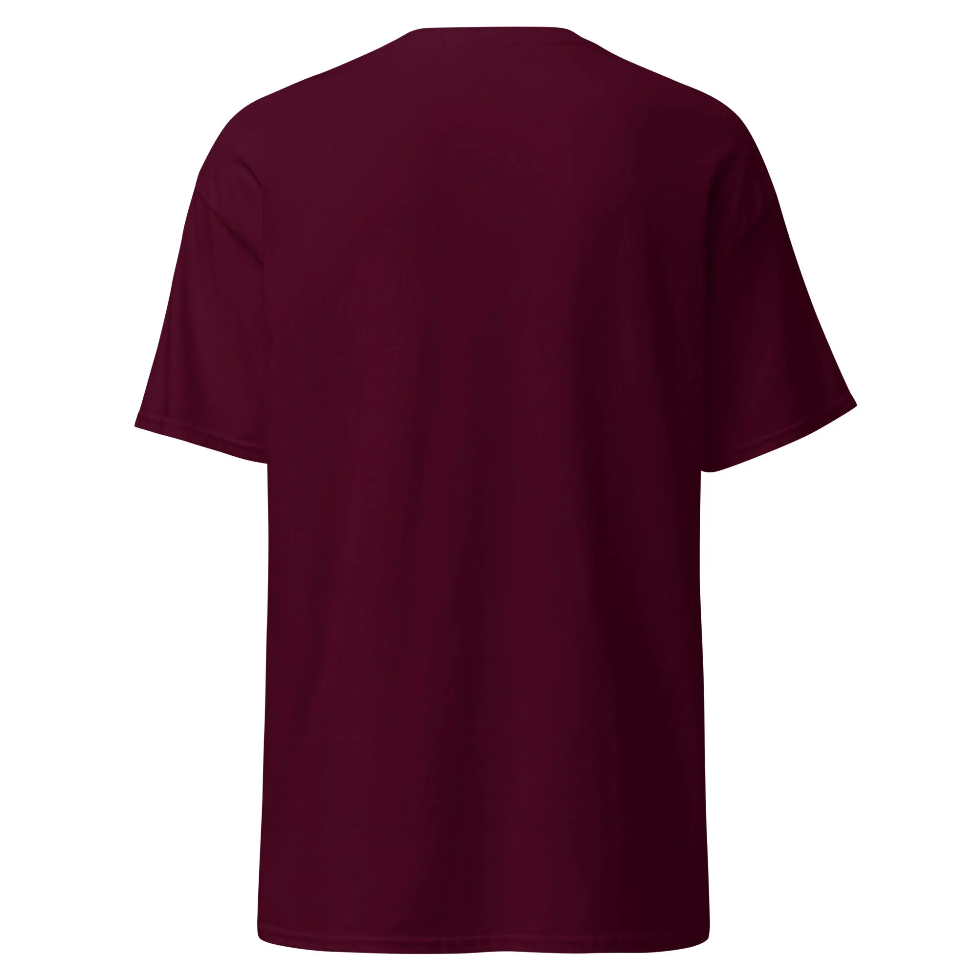 College Station Aggies Unisex classic tee